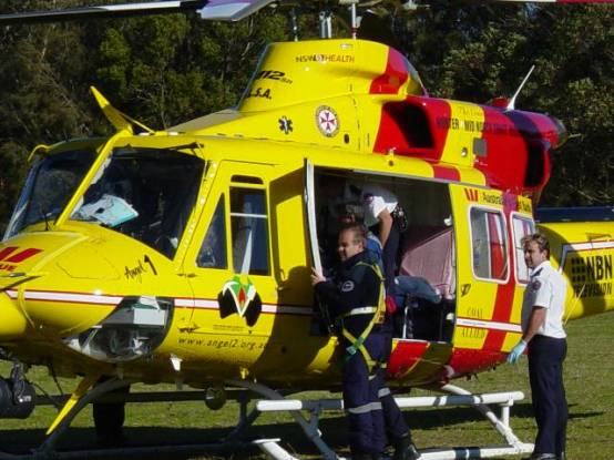 ambo3.jpg