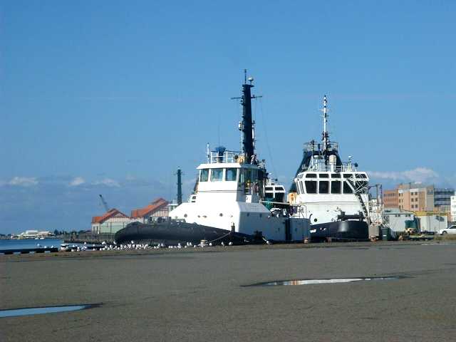 marine02.jpg